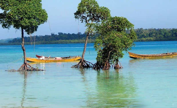 ANDAMAN VACATION PACKAGE