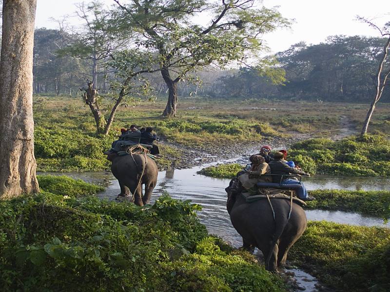 Bengal 6 Nights - 7 Days Tour