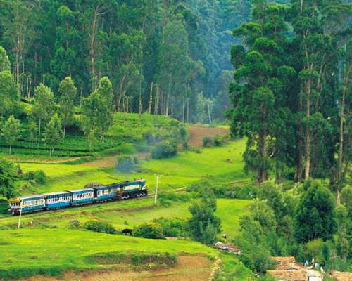 Coorg - Ooty - Mysore Tour