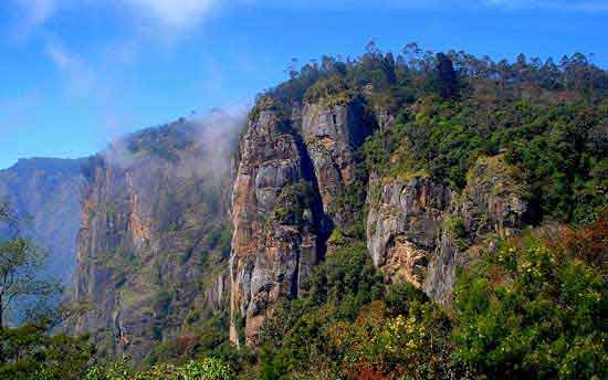 Bangalore Mysore OotyKodaikanal Tour Package 9 Days