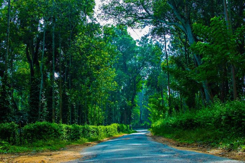 Best Honeymoon Destination in South India