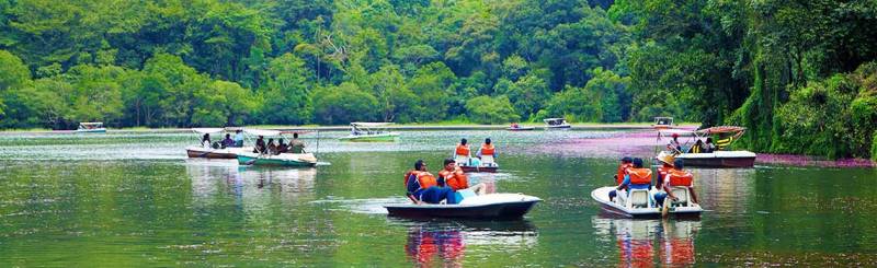 Wayanad Honeymoon Package from Bangalore