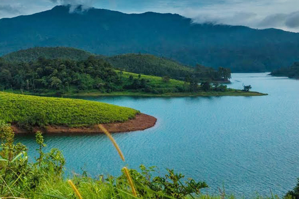 Wayanad Honeymoon Package from Bangalore