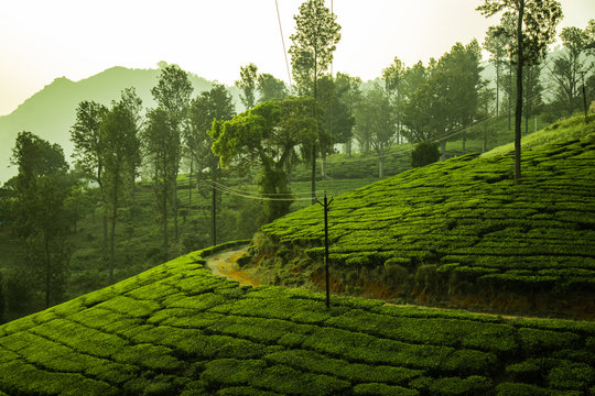 Heritage Mysore Ooty Tour Package 5 Days 4 Nights