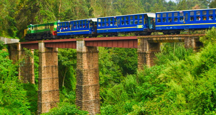Heritage Mysore Ooty Tour Package 5 Days 4 Nights
