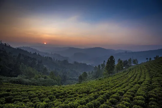 Heritage Mysore Ooty Tour Package 5 Days 4 Nights