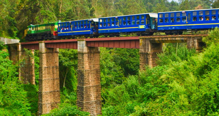 6Nights & 7Days Bangalore Mysore Ooty Tour Package