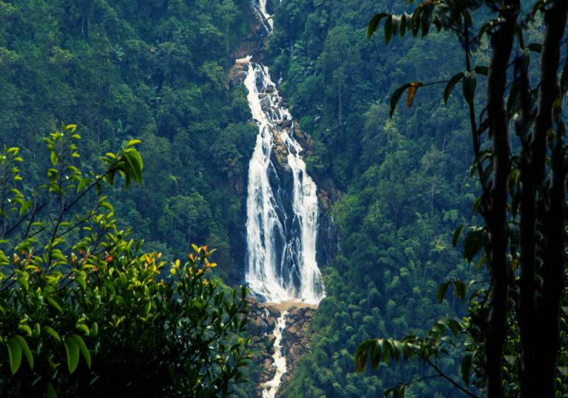 8Days & 7Nights Hidden Destination Of Coorg & Wayanad Tour Package