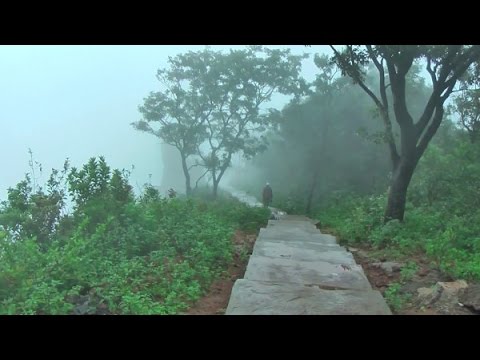 8Days & 7Nights Hidden Destination Of Coorg & Wayanad Tour Package