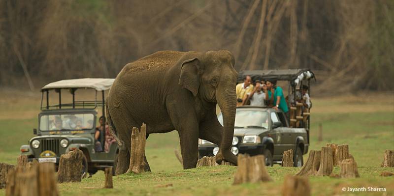 8Days & 7Nights Hidden Destination Of Coorg & Wayanad Tour Package