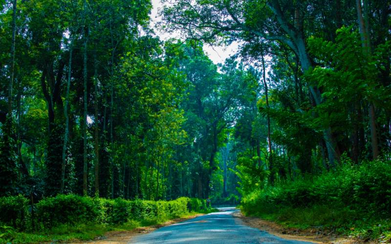 8Days & 7Nights Hidden Destination Of Coorg & Wayanad Tour Package