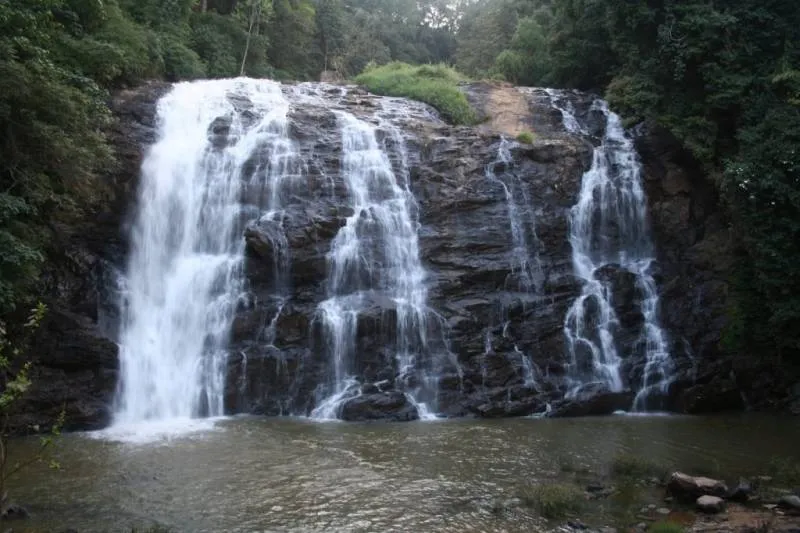 8Days & 7Nights Hidden Destination Of Coorg & Wayanad Tour Package
