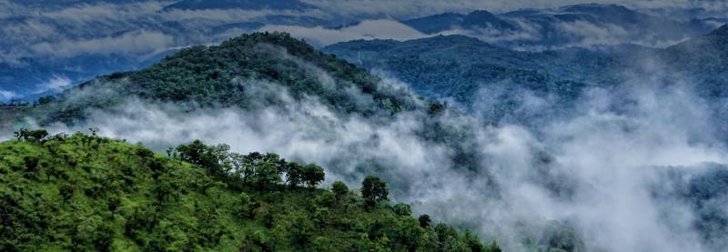 8Days & 7Nights Hidden Destination Of Coorg & Wayanad Tour Package