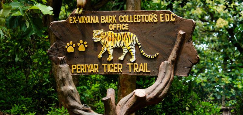 6 Nights & 7 Days Tour Package at Gods Own Country Kerala With Kodaikanal