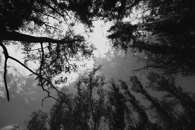 5 Nights and 6 Days Mysore Ooty Coorg Package