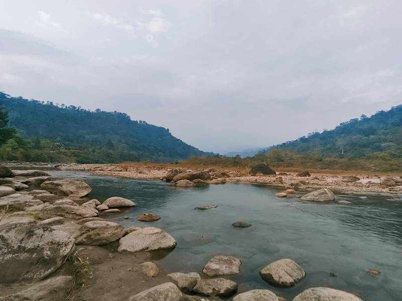 Enchanting Dooars Delight