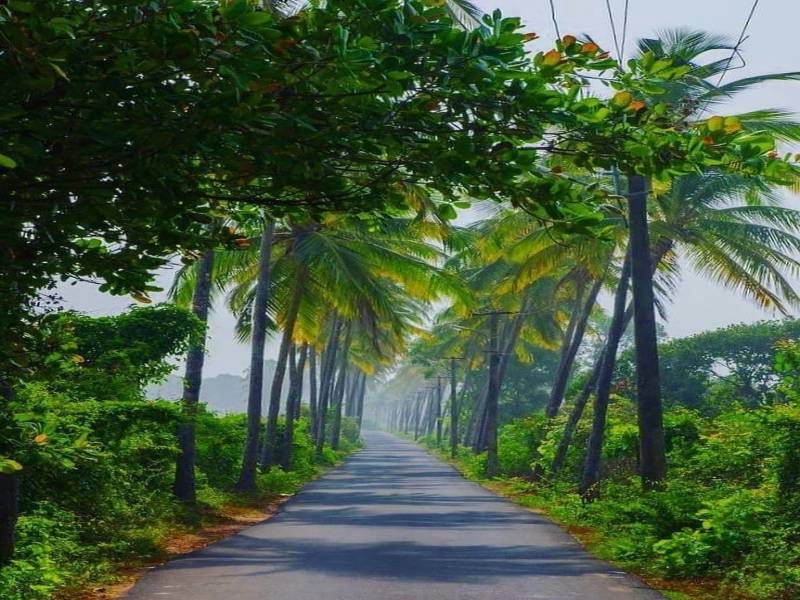 3 Nights 4 Days Goa Tour - Simply Goa