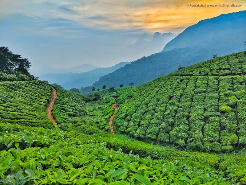 5 Nights 6 Days Kerala Tour Package