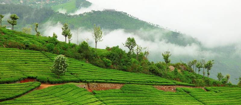 Bangalore - Coorg Tour
