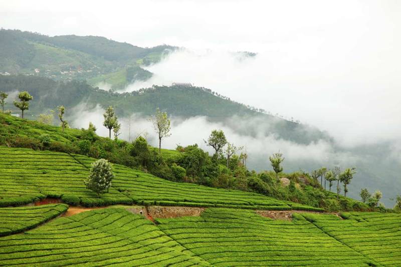 4 Days Ooty - Coonoor Tour Ex - Coimbatore Image