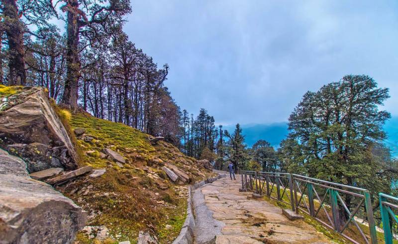 Chopta Tour Package