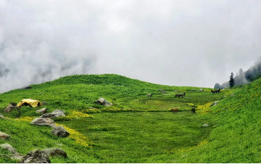 Kedartal Trek, Uttarakhand