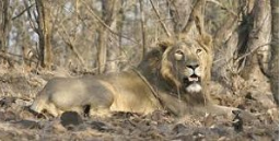 Saurashtra Tour Package