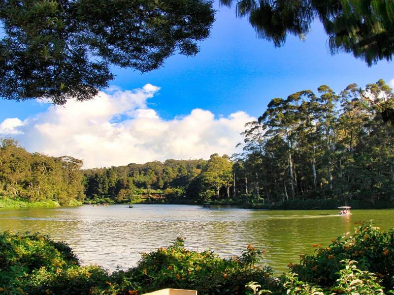 Ooty Tour Sightseeing Packages from Mumbai