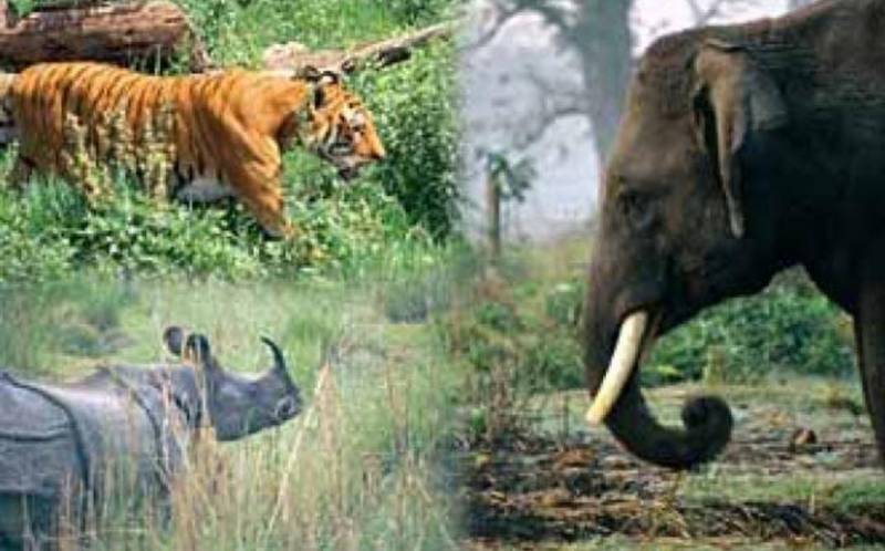 07 Day & 06 Night Kathmandu Tour package