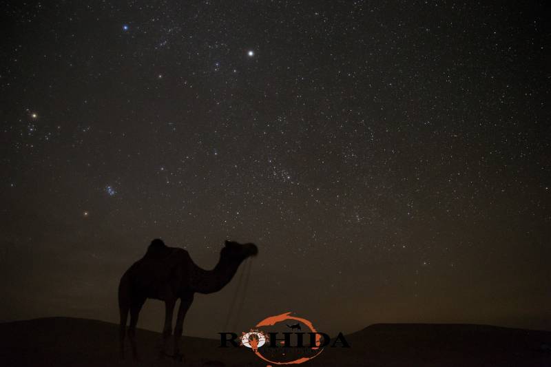 Camel Safari With Sunset View