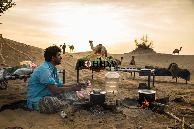 Camel Safari With Sunset View