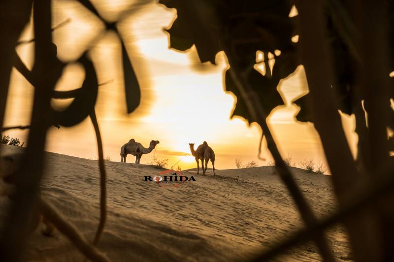Overnight Non Touristic Desert Safari
