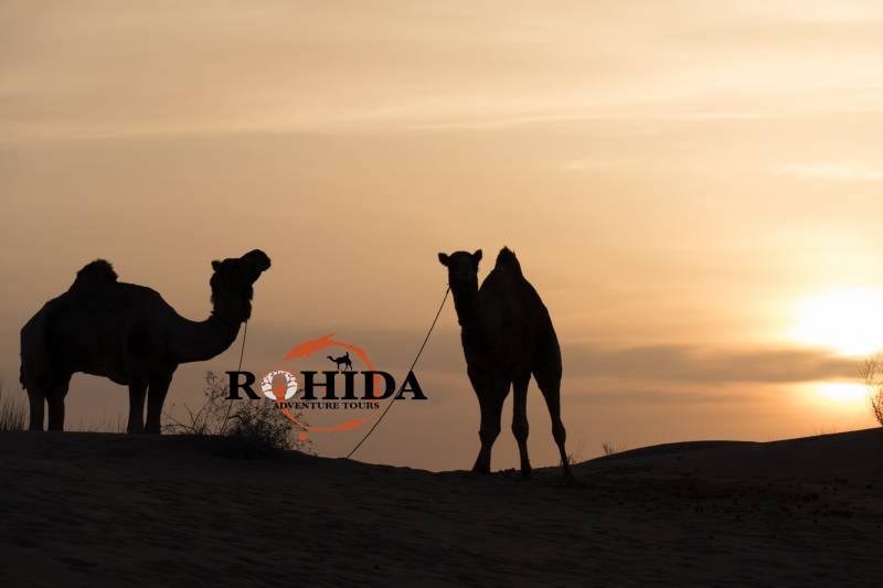 Overnight Non Touristic Desert Safari