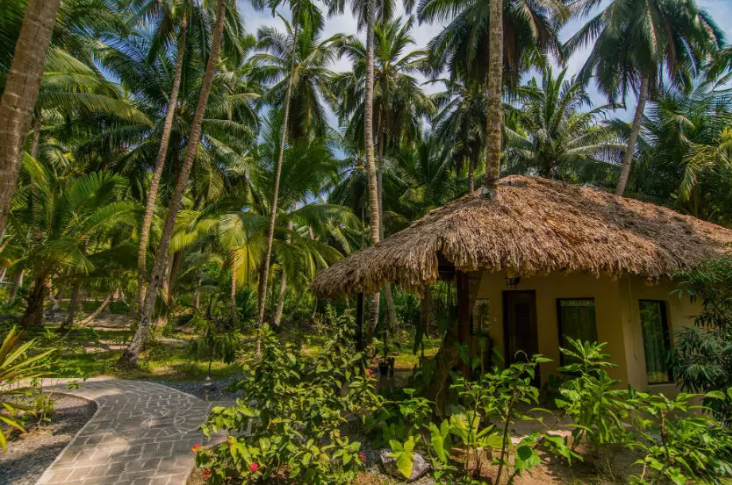 Luxurious Package Andaman Island Tour