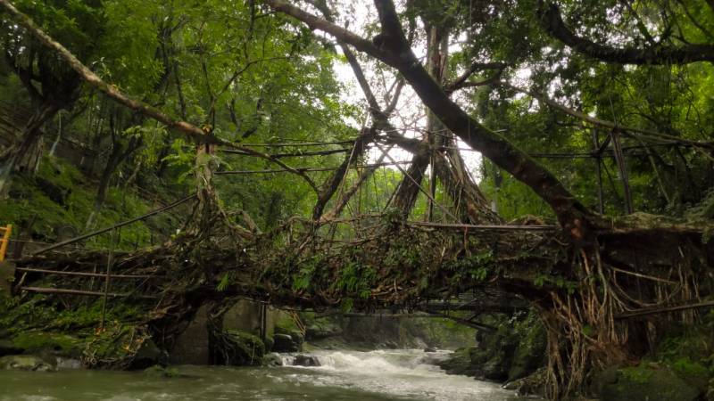 6 Days and 5 Nights Shillong - Dawki - Cherrapunjee Tour