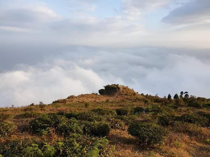 4 Days and 3 Nights Darjeeling Tour