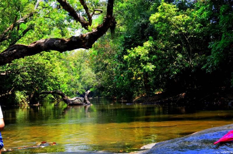 Bangalore To Coorg Tour Package 2 Nights 3 Days