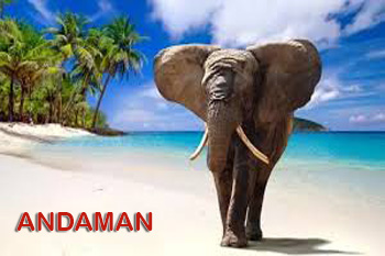 5N Exotic Andaman