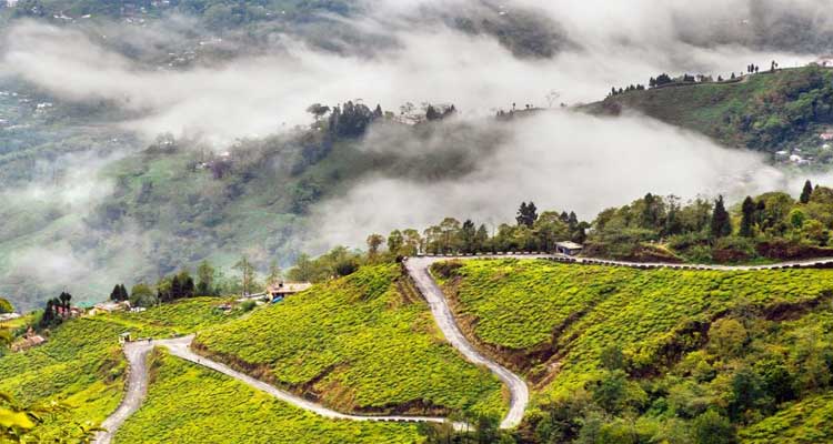 Darjeeling West Bengal 4 Nights / 5 Days Tour