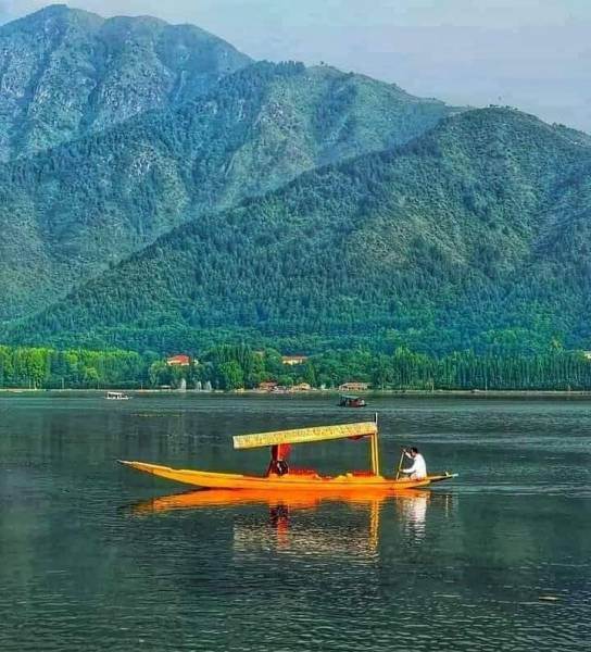 Glimpses of Kashmir 6 Nights - 7 Days 4 Star Based up 02 Pax min