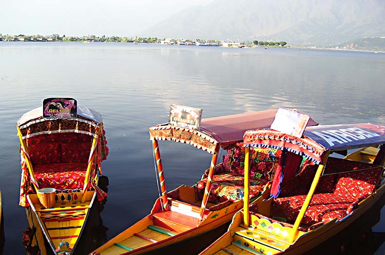 3 Nights 4 Days srinagar tour