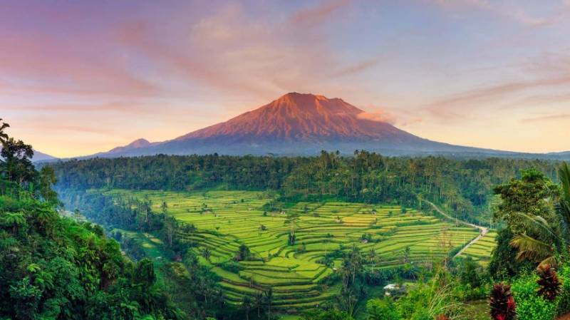Honeymoon / Family Bali Tour Packages 5 Days / 4 Nights