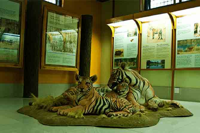 02 Nights & 03 Days Jim Corbett Tour Package