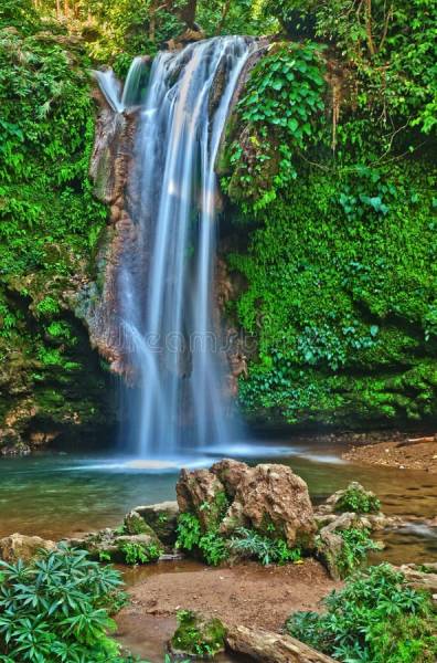 02 Nights & 03 Days Jim Corbett Tour Package