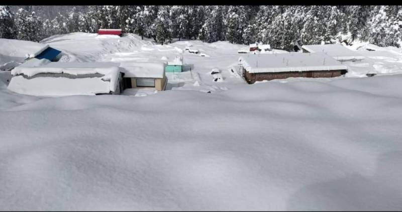 3 day 2 nights Deoriyatal and Chandrashila top trek