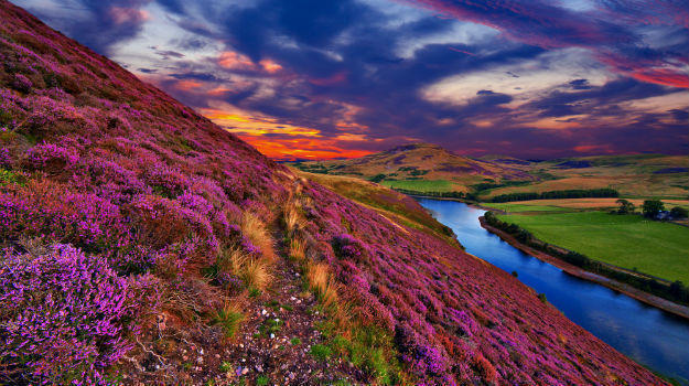 Valley of Flowers, Uttarakhand, 5 Days 4 Night Image
