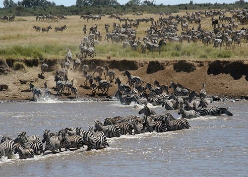 3-Days  Maasai Mara Adventure