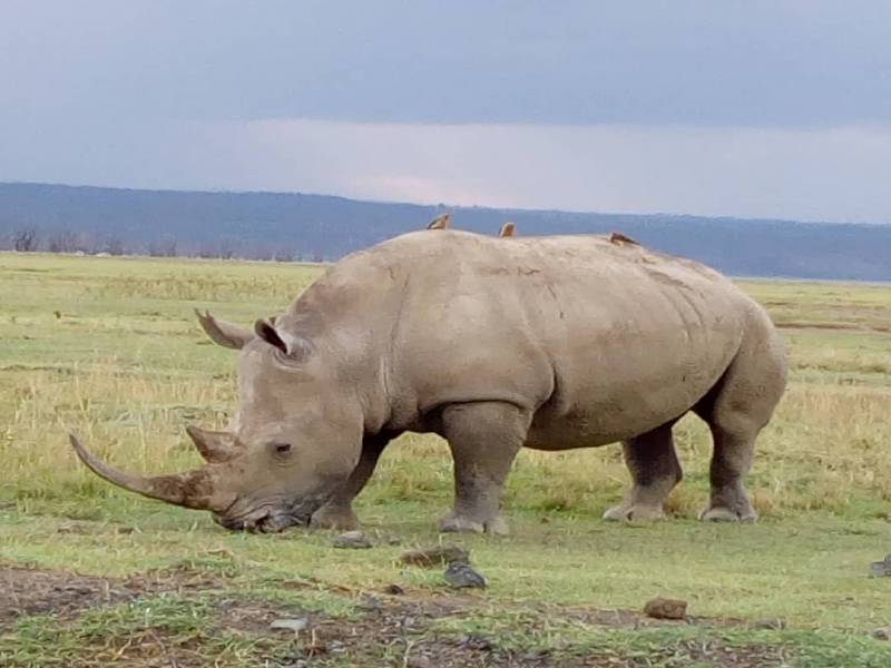 5 Days Amazing Road Trip