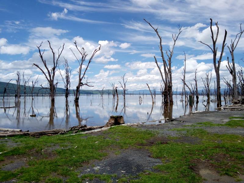 5 Days Amazing Road Trip