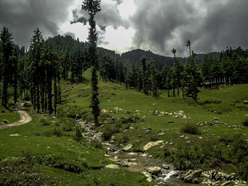 Shimla - Kullu - Manali Tour